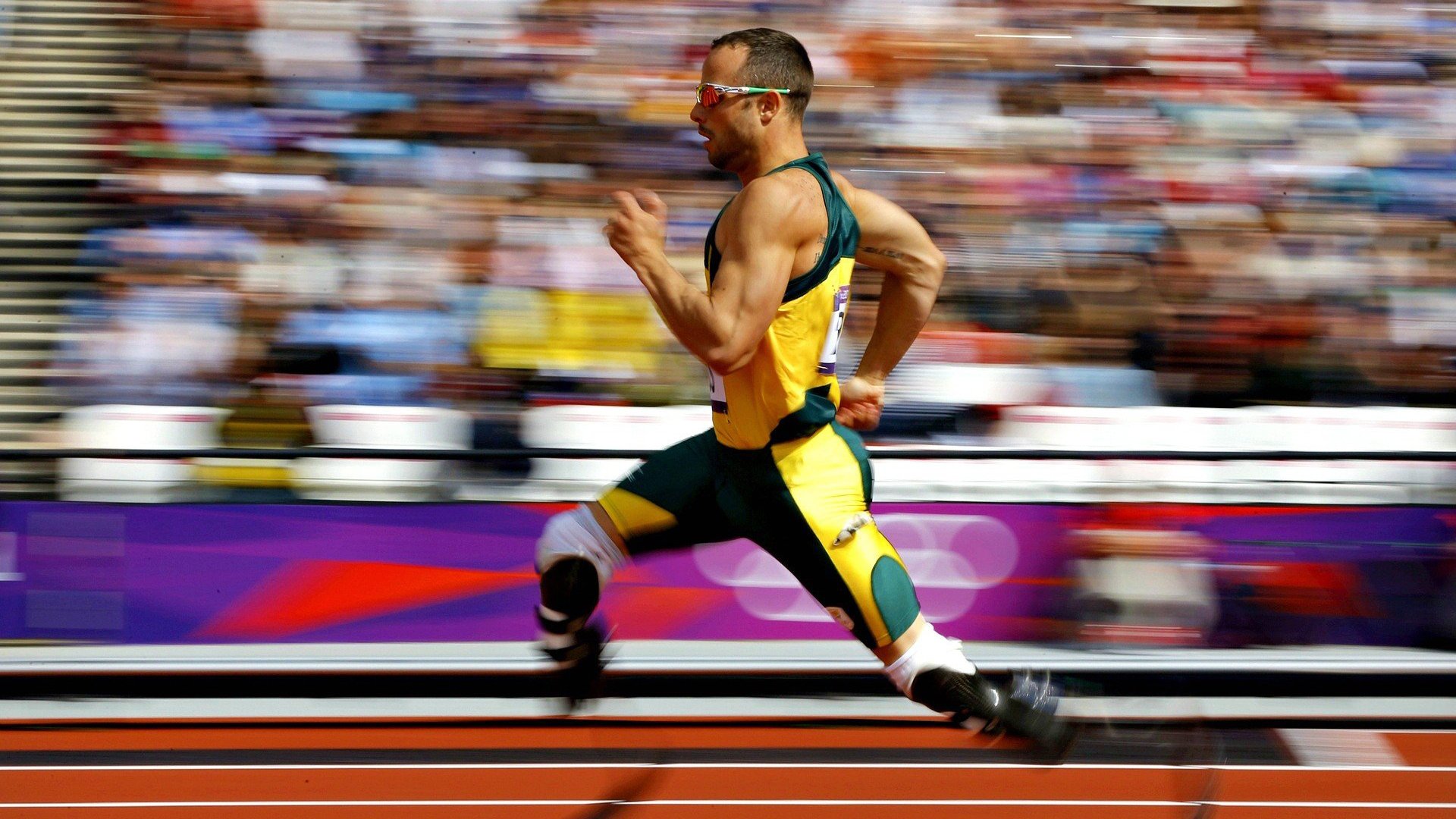 德甲球队政策调整，未来值得期待，德甲政策50+1