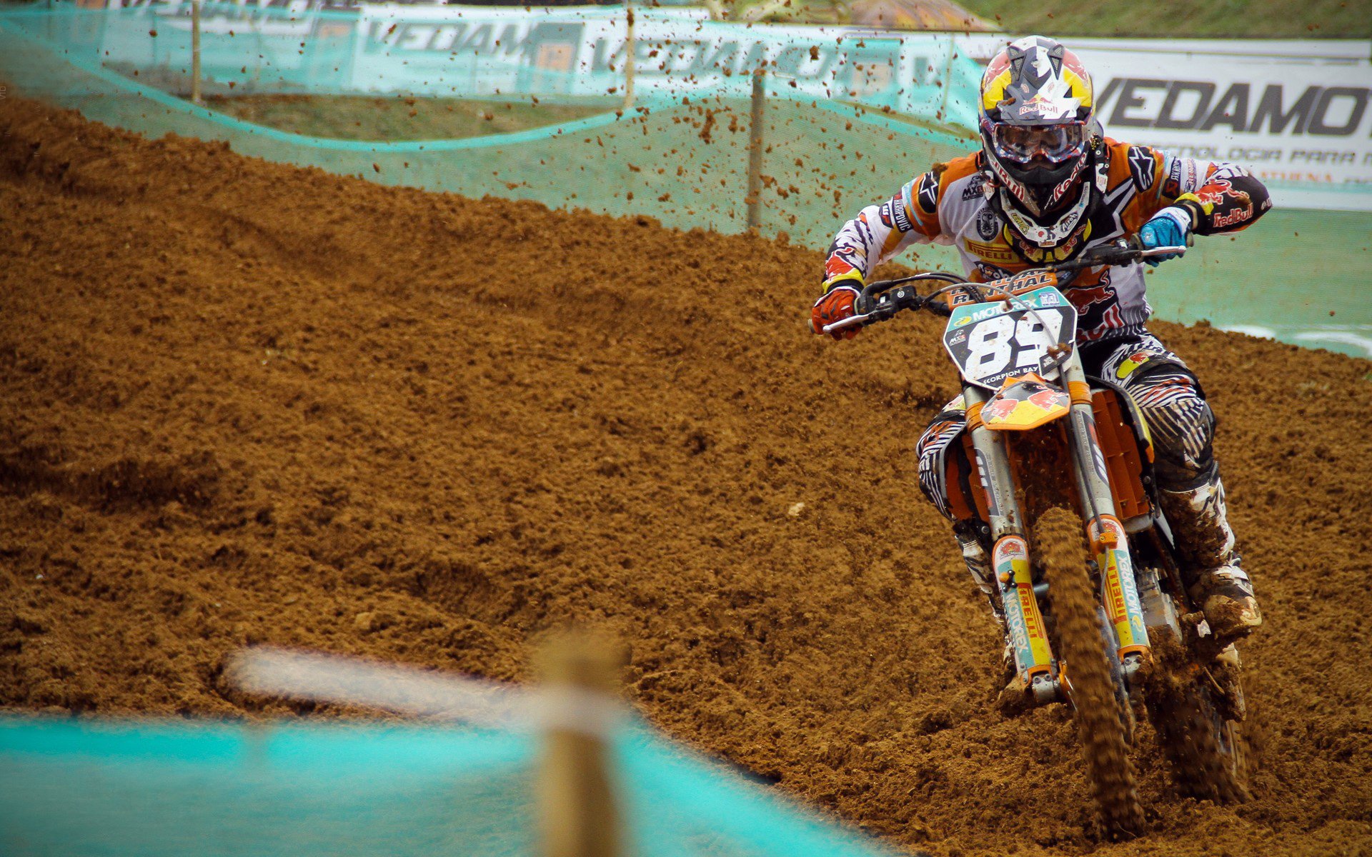 日本马术协会授予铃木明“年度最佳三项赛骑手”称号。，铃木明那种子